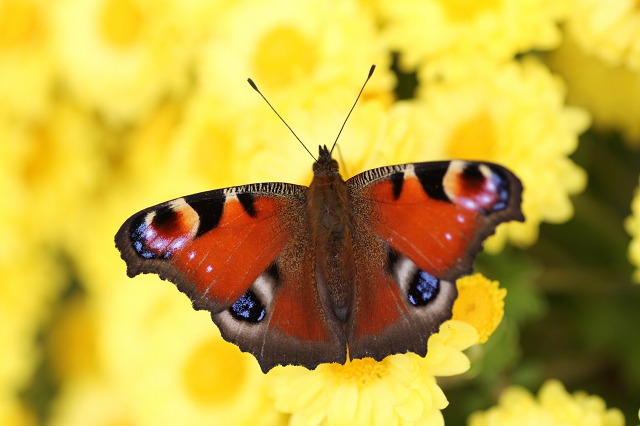 ファイル 133-2.jpg