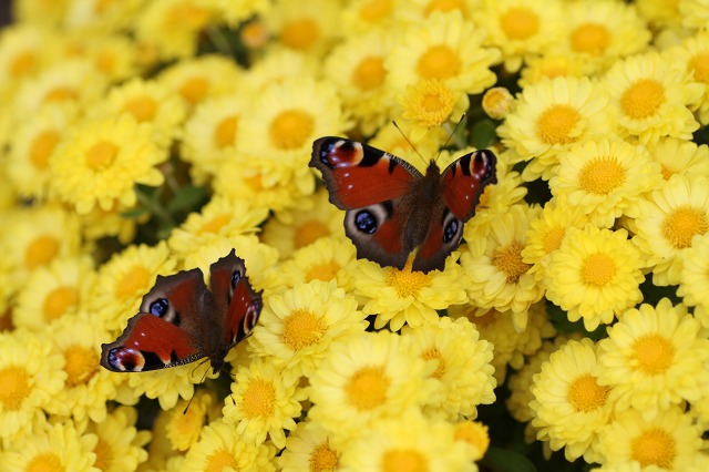 ファイル 133-3.jpg