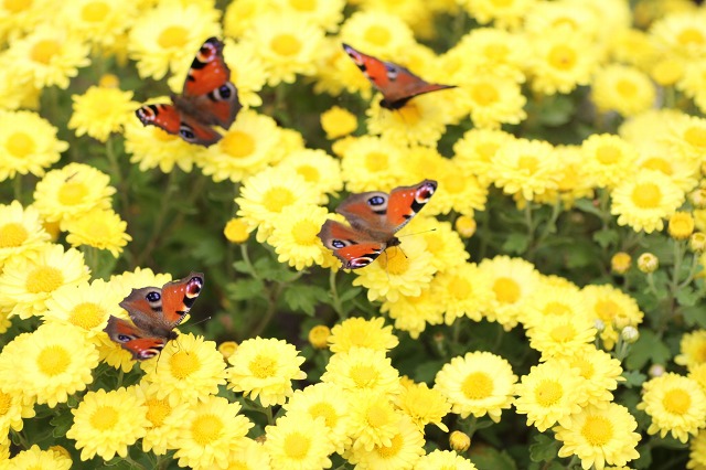 ファイル 133-5.jpg