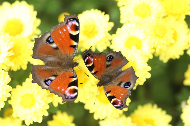 ファイル 133-7.jpg