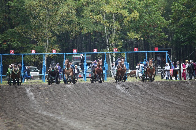 ファイル 134-1.jpg