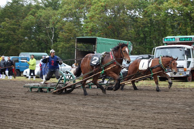 ファイル 134-3.jpg