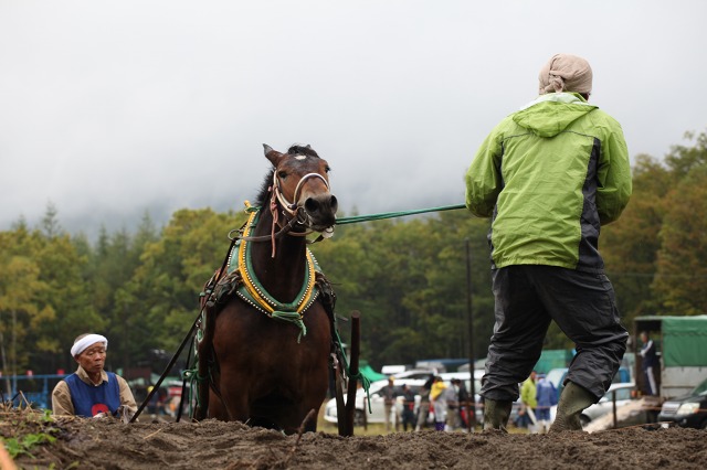 ファイル 134-4.jpg