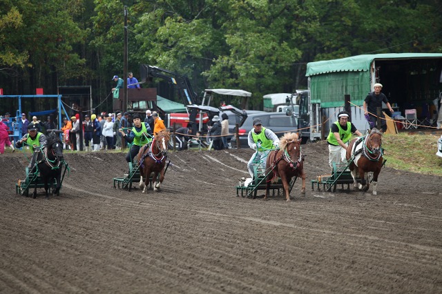 ファイル 134-5.jpg