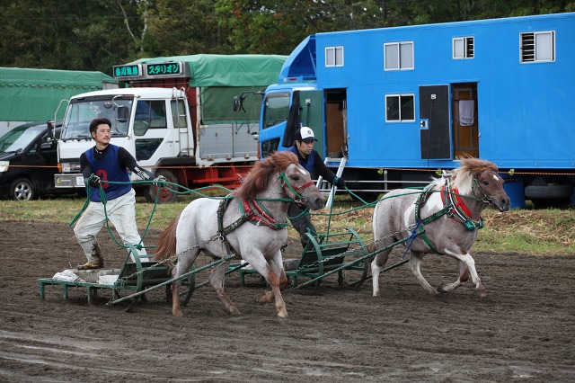 ファイル 134-7.jpg