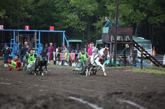 ファイル 134-9.jpg