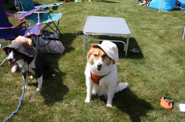 ファイル 135-3.jpg