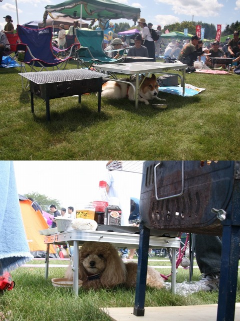 ファイル 135-6.jpg