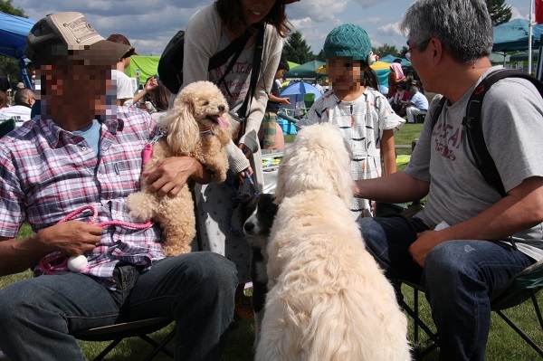 ファイル 135-8.jpg