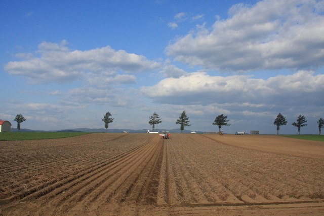 ファイル 136-5.jpg