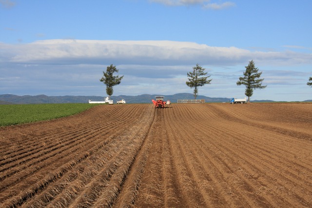 ファイル 137-1.jpg