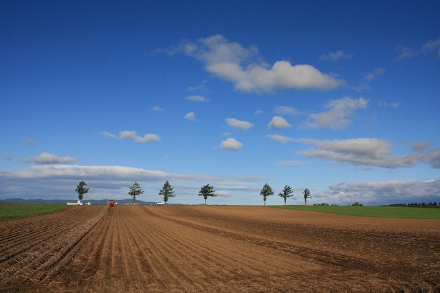 ファイル 137-2.jpg