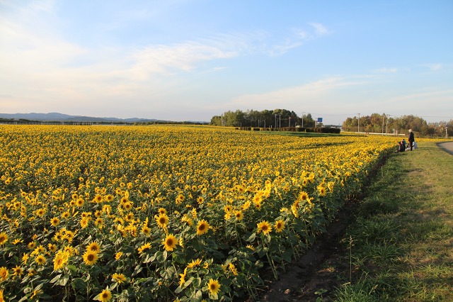 ファイル 137-9.jpg