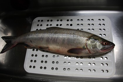 ファイル 138-6.jpg