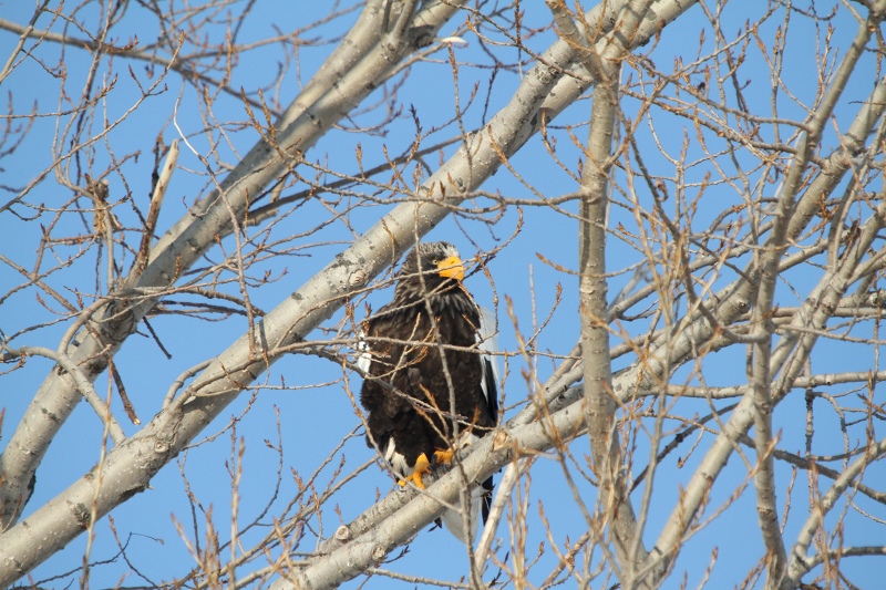 ファイル 14-1.jpg