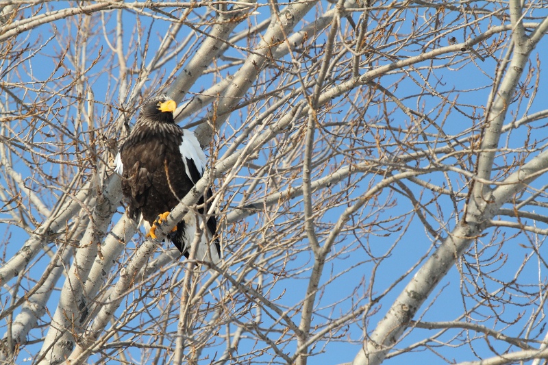 ファイル 14-2.jpg