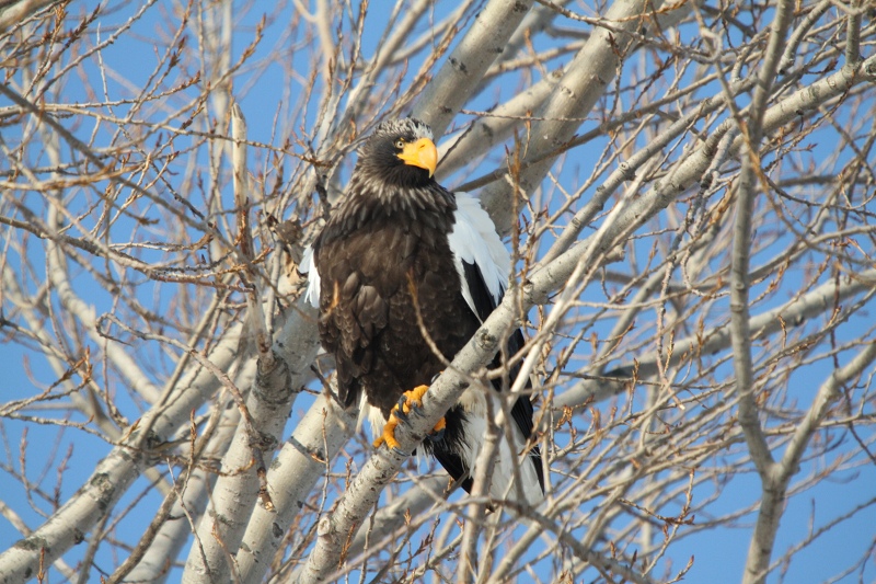 ファイル 14-3.jpg