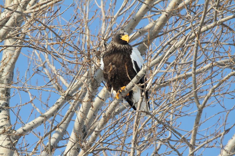 ファイル 14-4.jpg