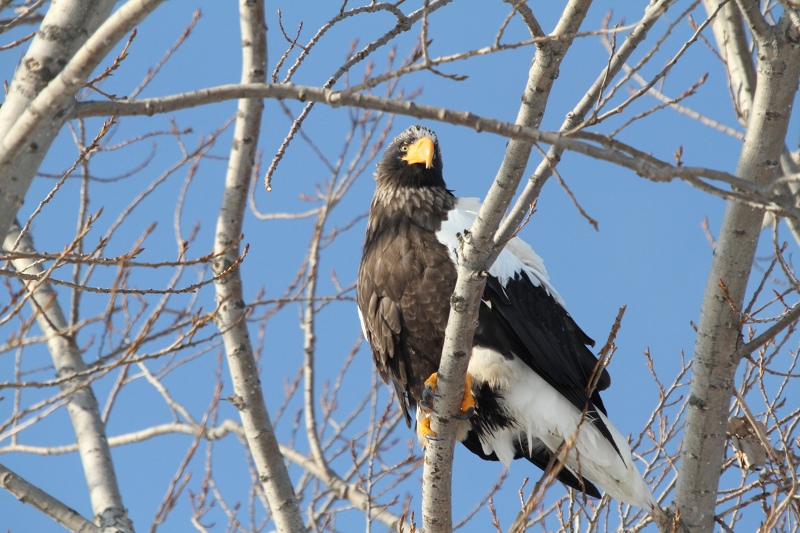 ファイル 14-5.jpg