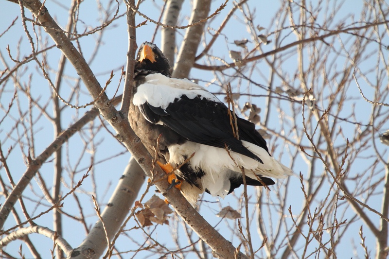 ファイル 14-7.jpg