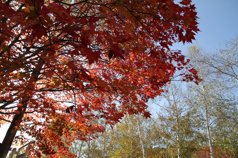 ファイル 140-3.jpg