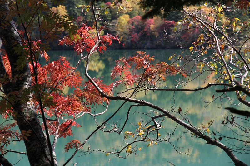 ファイル 140-6.jpg