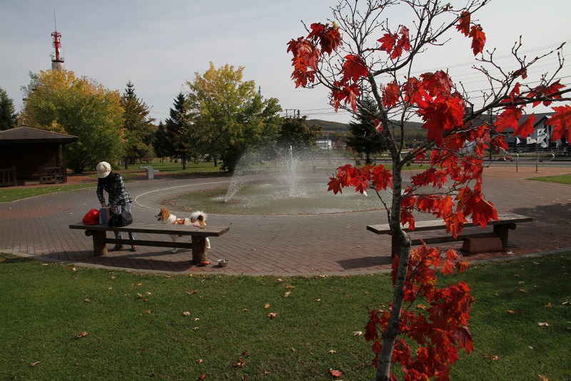 ファイル 141-1.jpg