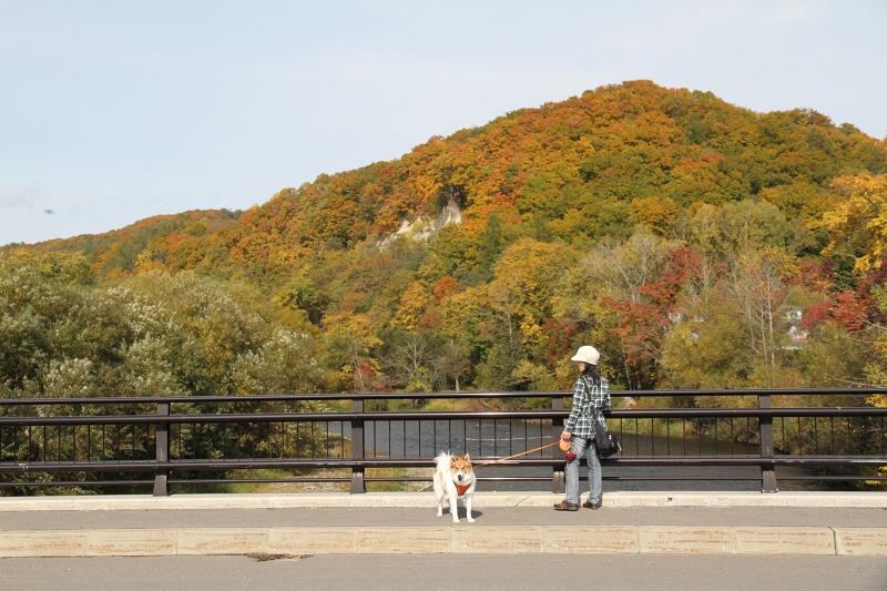 ファイル 141-2.jpg