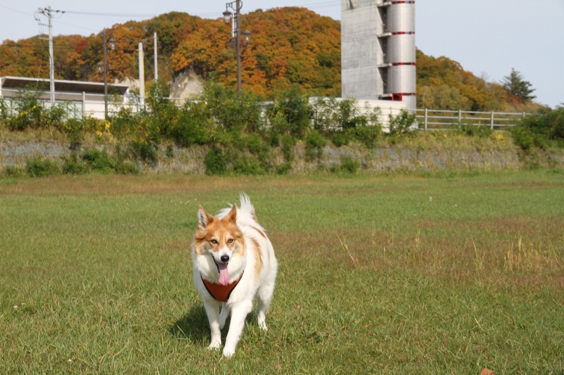 ファイル 141-5.jpg