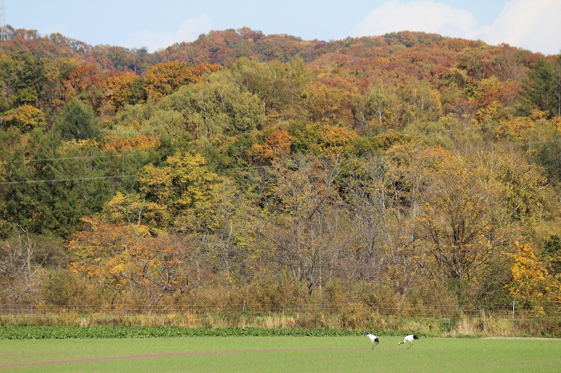 ファイル 141-6.jpg