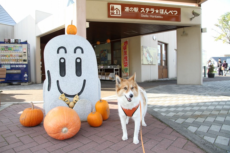 ファイル 141-7.jpg