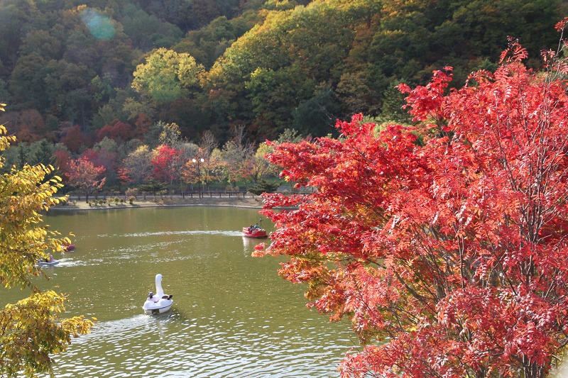 ファイル 142-1.jpg