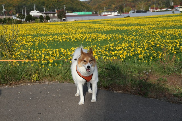 ファイル 142-4.jpg