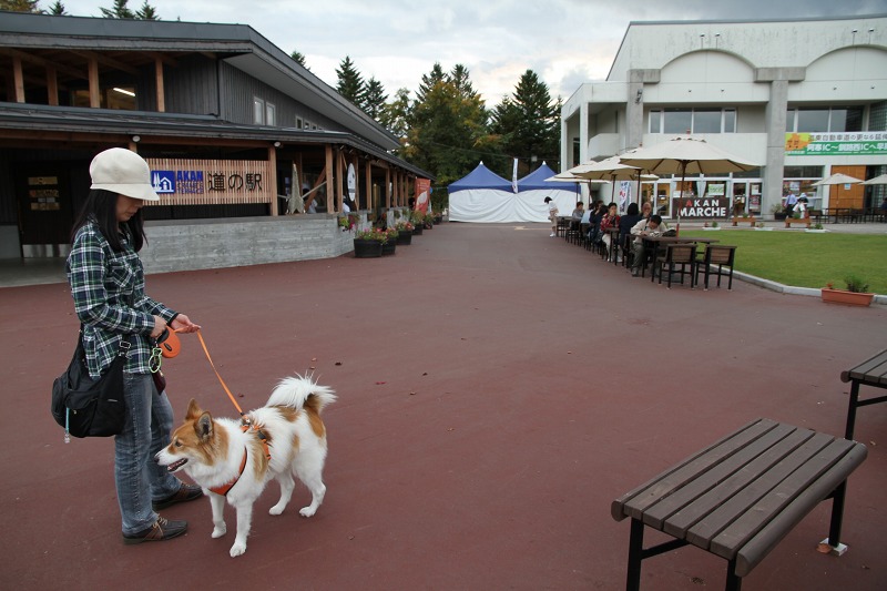 ファイル 142-7.jpg