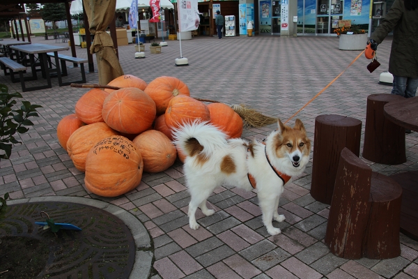 ファイル 144-4.jpg