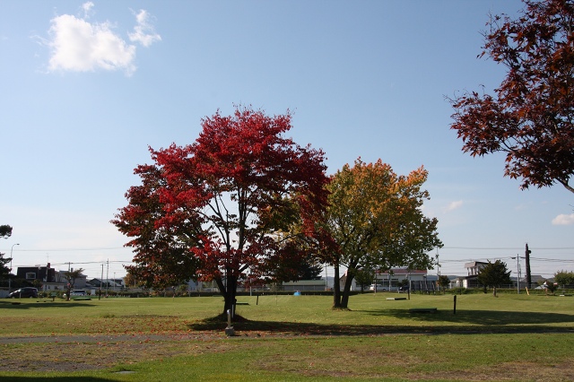 ファイル 145-4.jpg