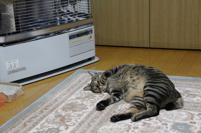 ファイル 145-9.jpg