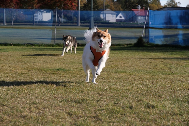 ファイル 146-1.jpg