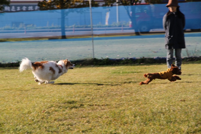 ファイル 146-2.jpg