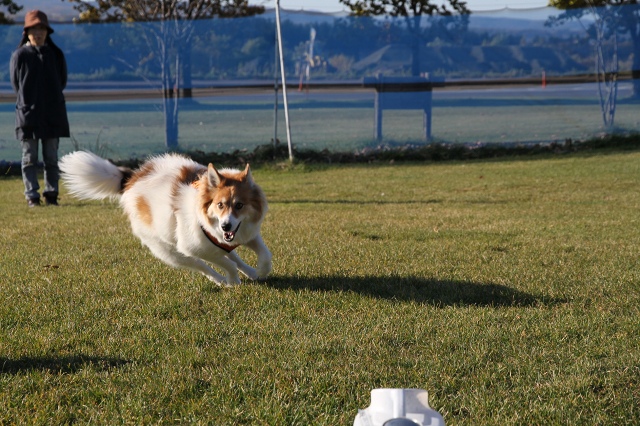 ファイル 146-3.jpg