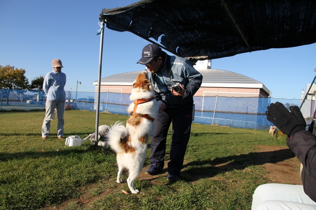 ファイル 146-4.jpg