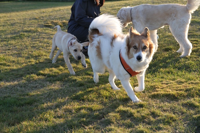 ファイル 146-5.jpg