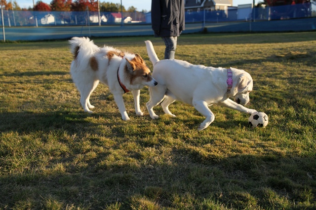 ファイル 146-6.jpg