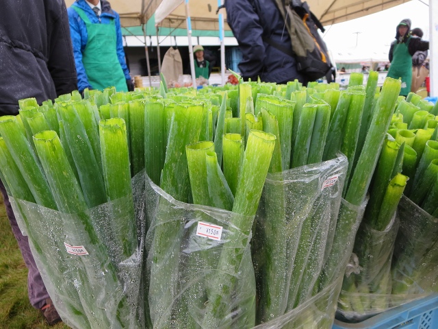 ファイル 147-4.jpg