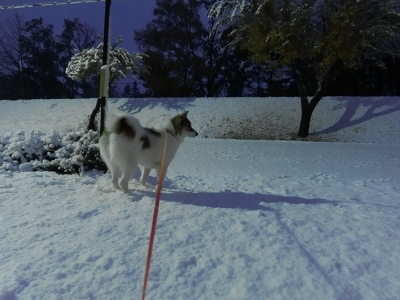 ファイル 147-6.jpg