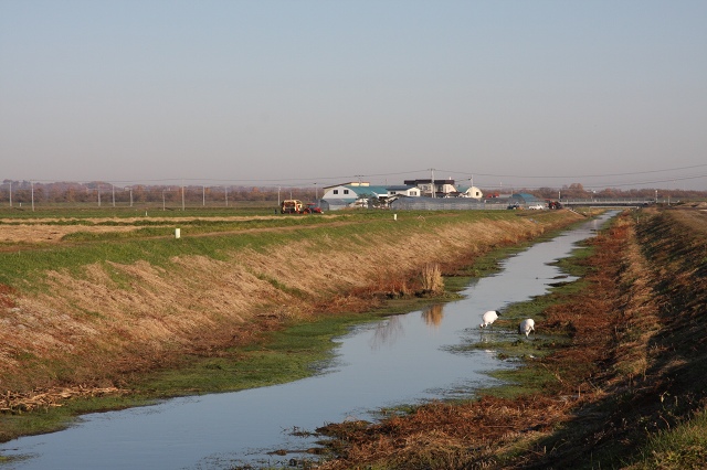 ファイル 148-2.jpg