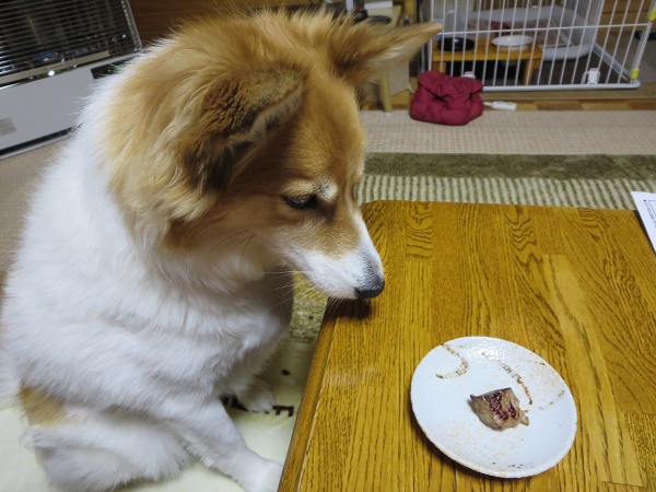 ファイル 148-4.jpg