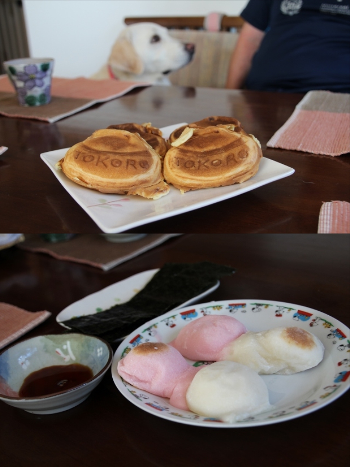 ファイル 149-3.jpg