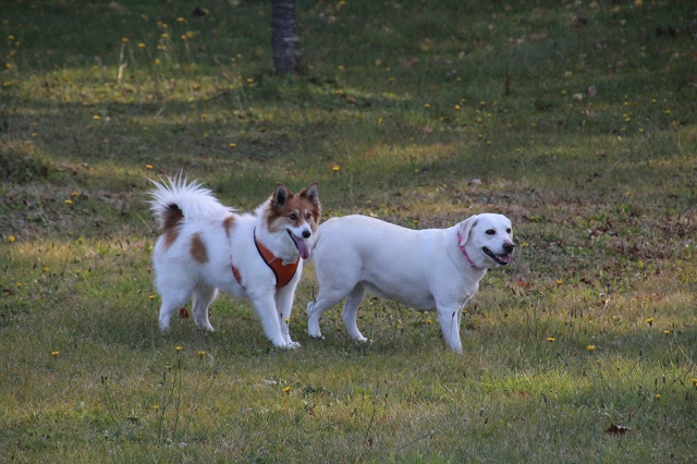 ファイル 149-5.jpg