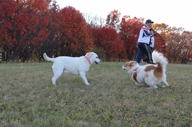 ファイル 149-6.jpg